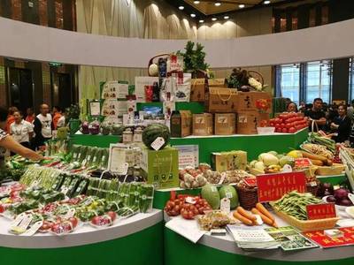 華鮮谷團隊赴黑龍江蔬菜產(chǎn)銷大會 探索農(nóng)產(chǎn)品零售發(fā)展新思路