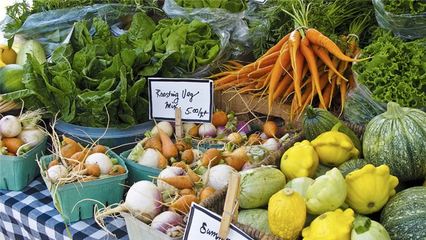 農(nóng)產(chǎn)品零售與批發(fā) 知名企業(yè)的市場(chǎng)策略與行業(yè)影響